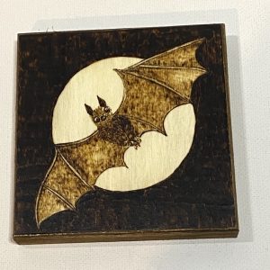 Embrace the Night Bat