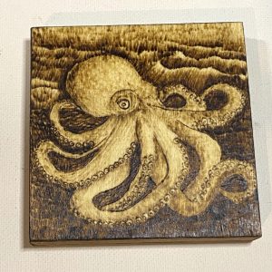 Emerging Octopus
