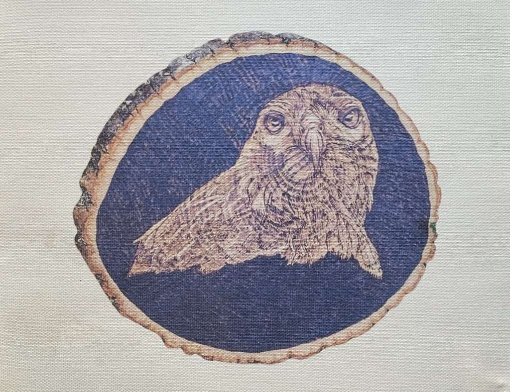 Cooper's Hawk Pyrography Print