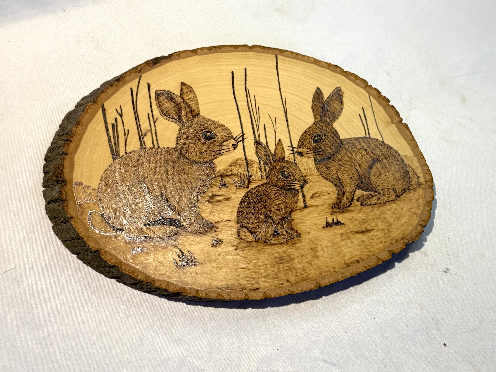 What Growing Up in Foster Care Taught Me About Resilience (and Independence)