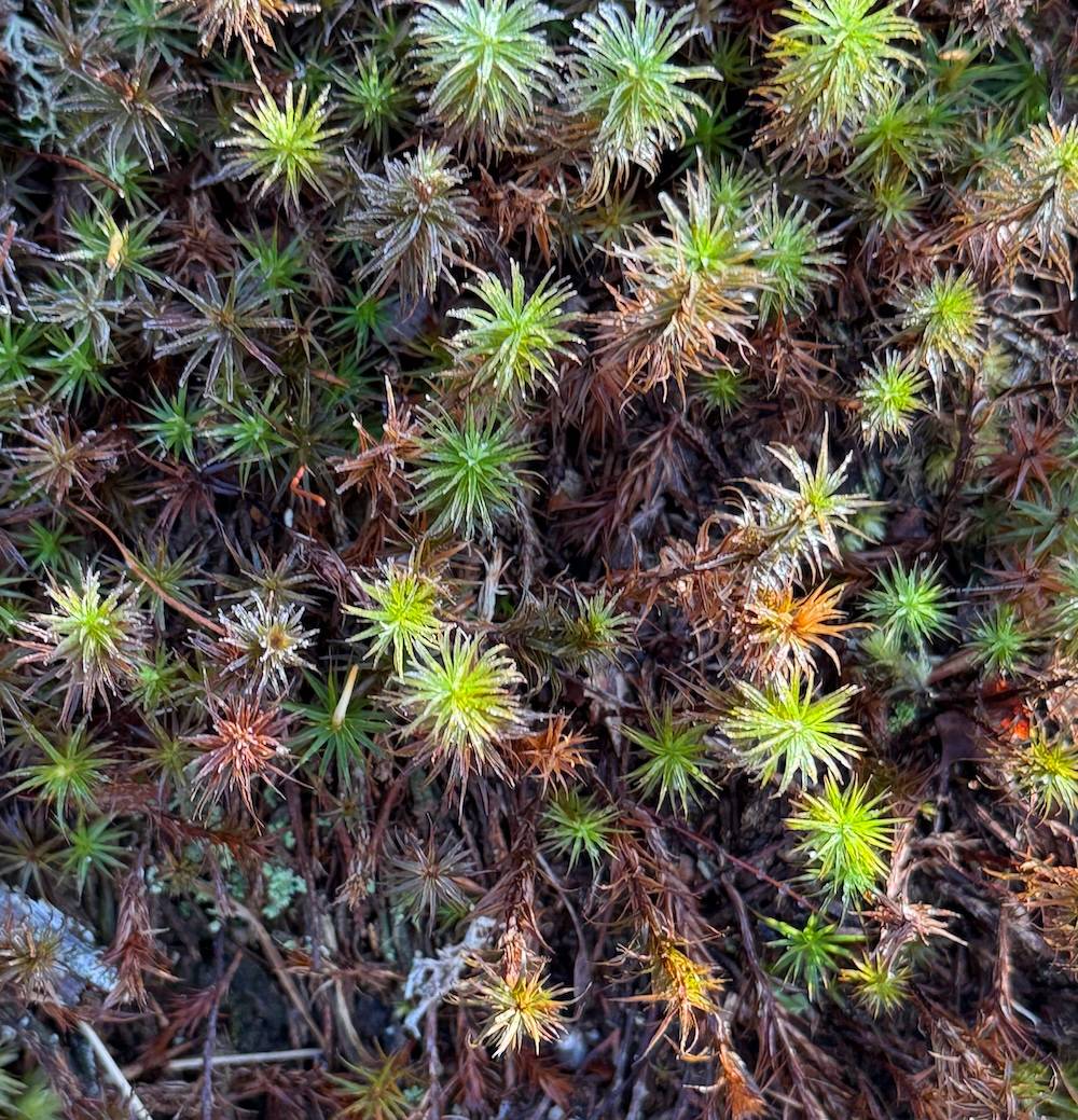 The courage it takes to be a beginner again